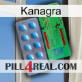 Kanagra new03